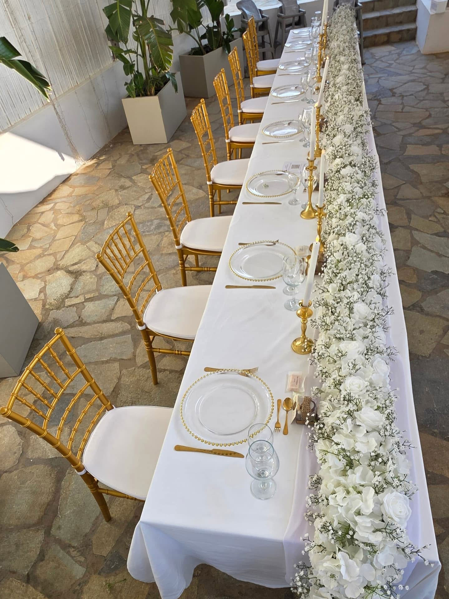 wedding-function-gold-chiavari-chair-with-white-cushion-plates-cutlery wedding function gold chiavari chair with white cushion plates cutlery